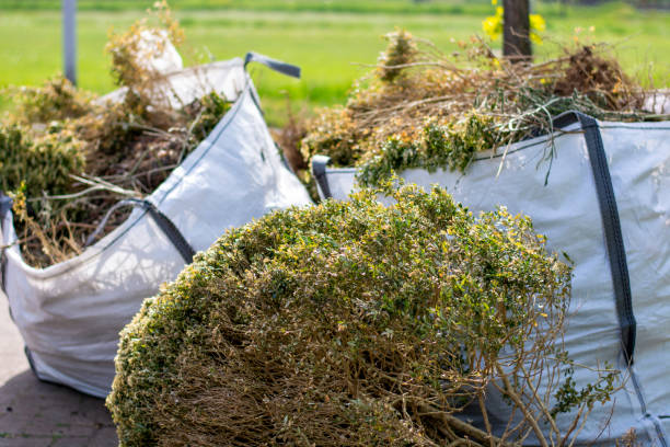 Full-Service Junk Removal in Dash Point, WA